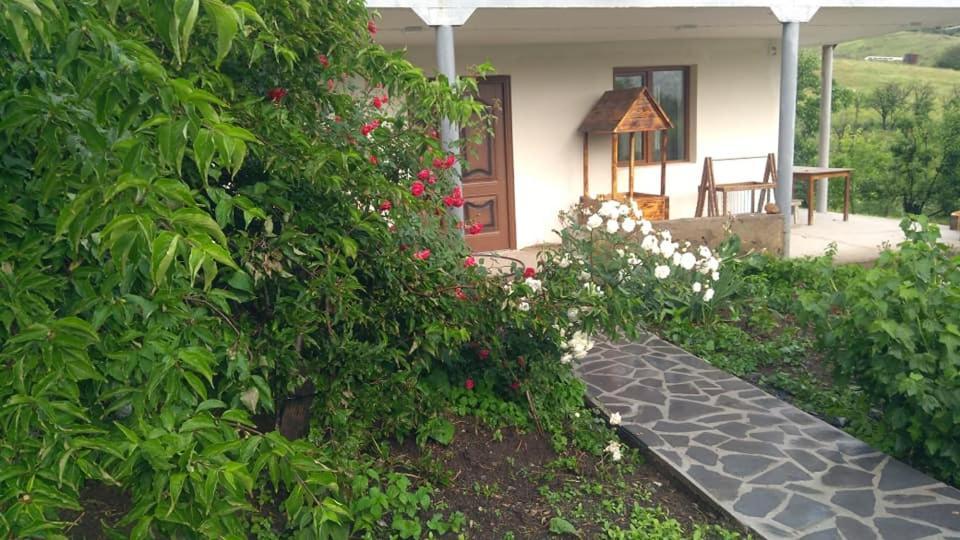 Amoj B&B And Guest House Alaverdi Exterior photo