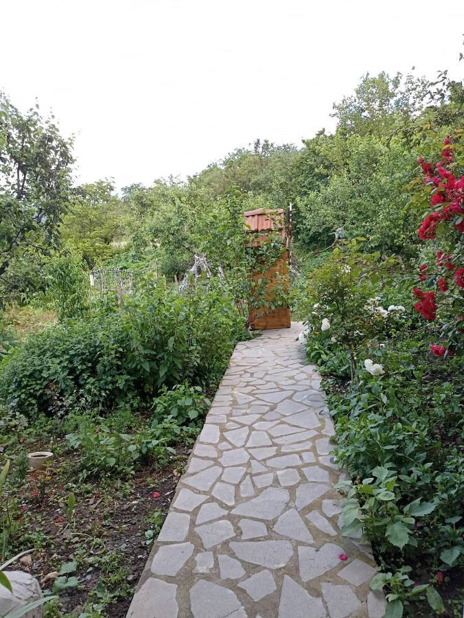 Amoj B&B And Guest House Alaverdi Exterior photo