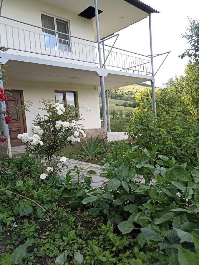 Amoj B&B And Guest House Alaverdi Exterior photo